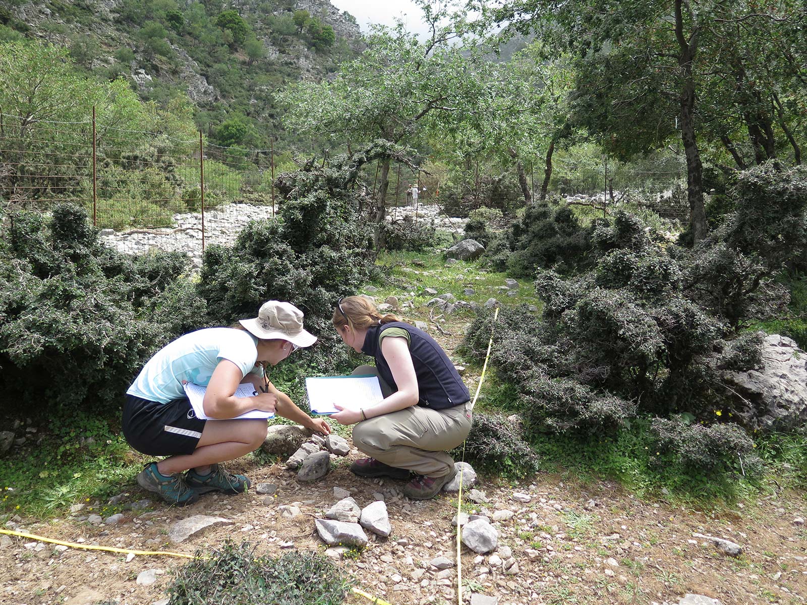 Collaborators of the Zelkova Project determining plants within the fenced plots