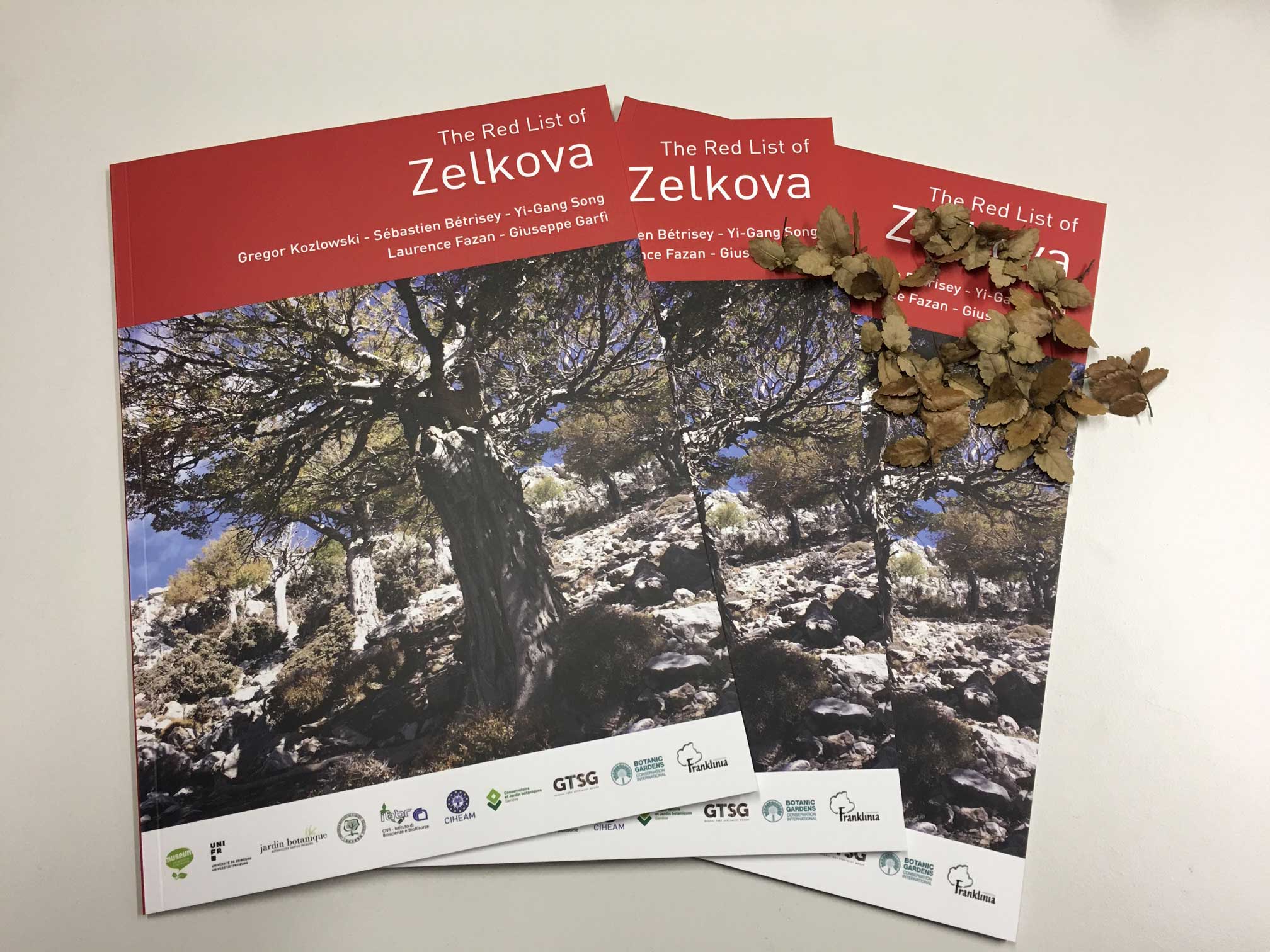 The Red List of Zelkova 2019