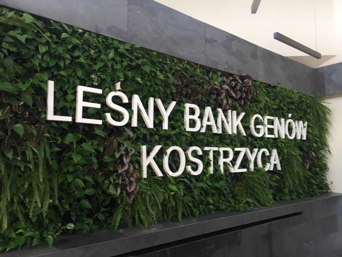 Kostrzyca Forest Gene Bank