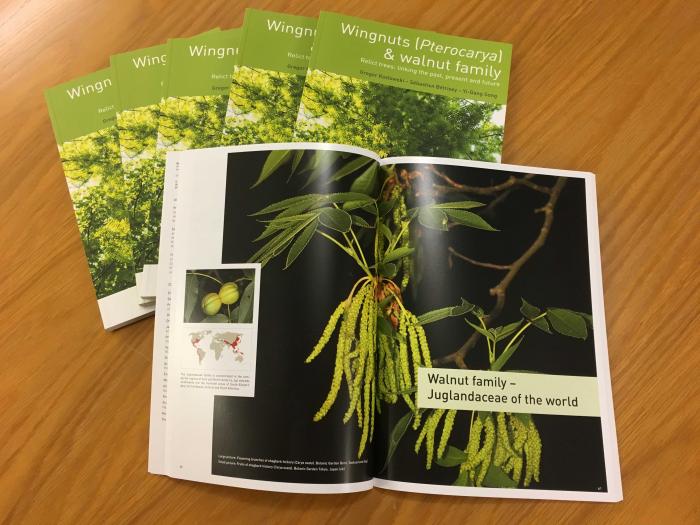 New book of the Pterocarya network New book of the Pterocarya network