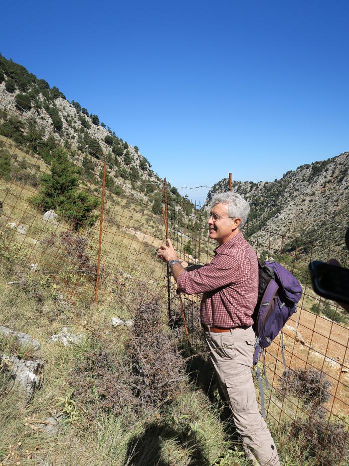 Sicilian expert Giuseppe Garfì examining the shoot elongation in a fenced plot during the annual project meeting.