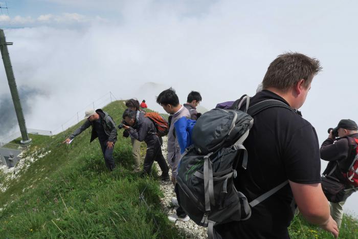 Moléson summit (2,000 m a.s.l.)