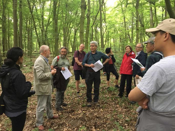Prof. A. Boratynski showing natural forest fragment in Wielkopolska National Park