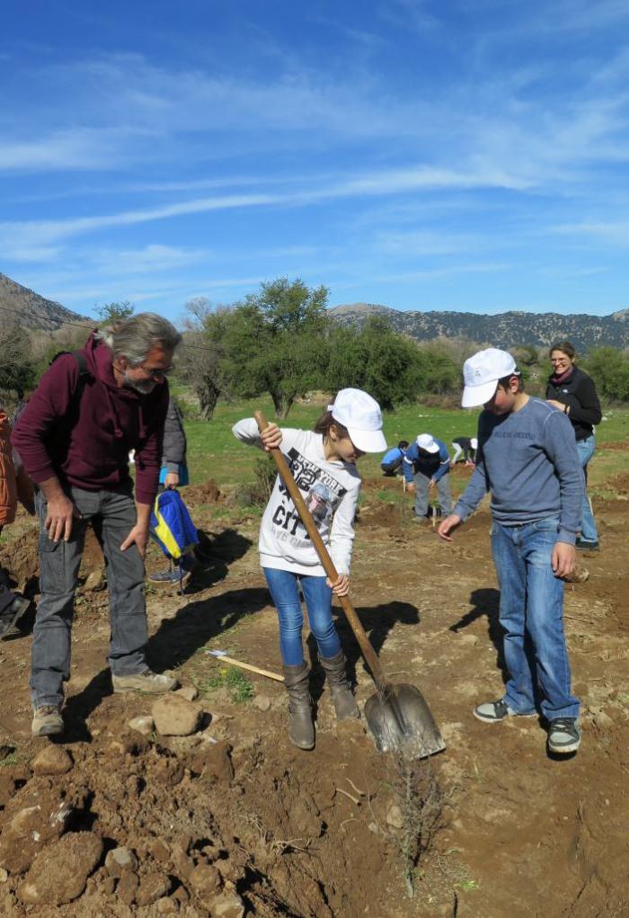 Pupils planting their Zelkova tree