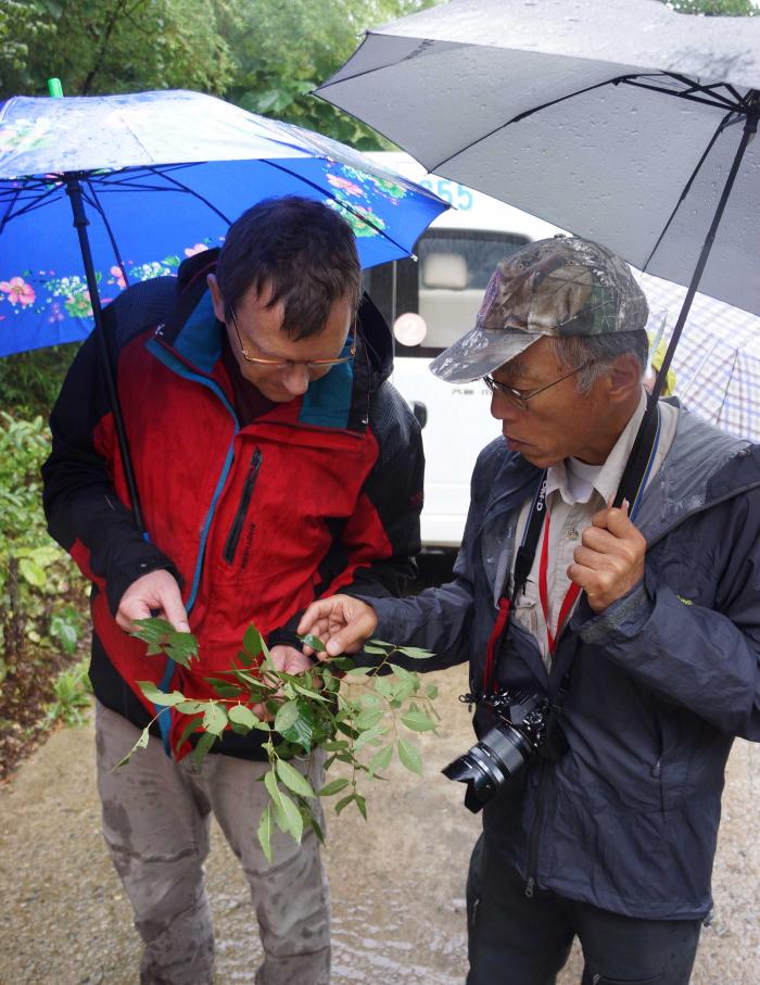 Prof. T. Denk and Prof. H. Sakio