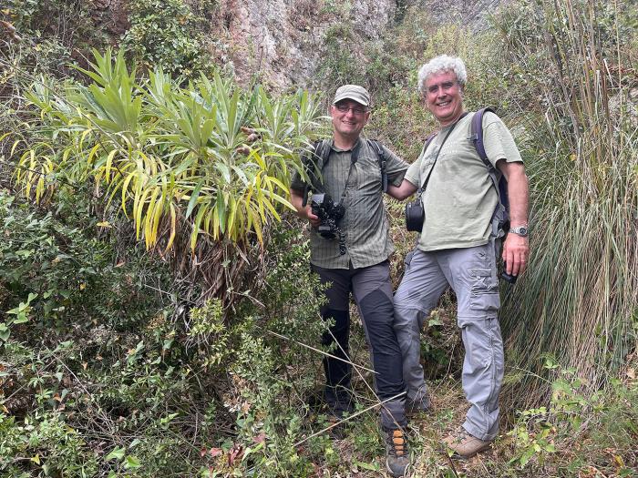 Prof. G. Kozlowski and Dr. G. Garfi with Ptilostemon greuteri